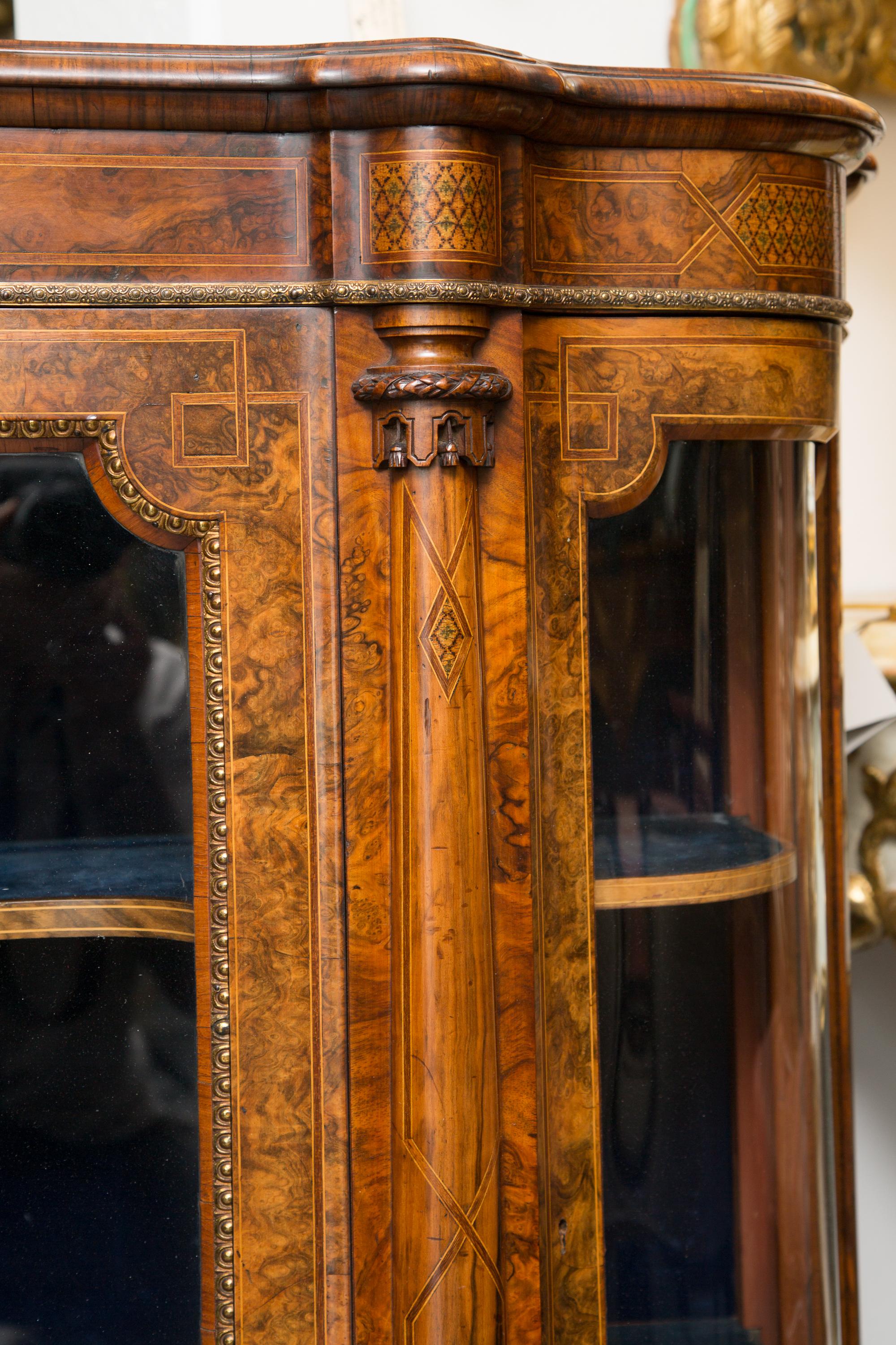 English Victorian Walnut and Inlaid Display Cabinet 6