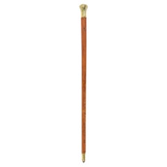 Canna inglese vittoriana in legno e ottone