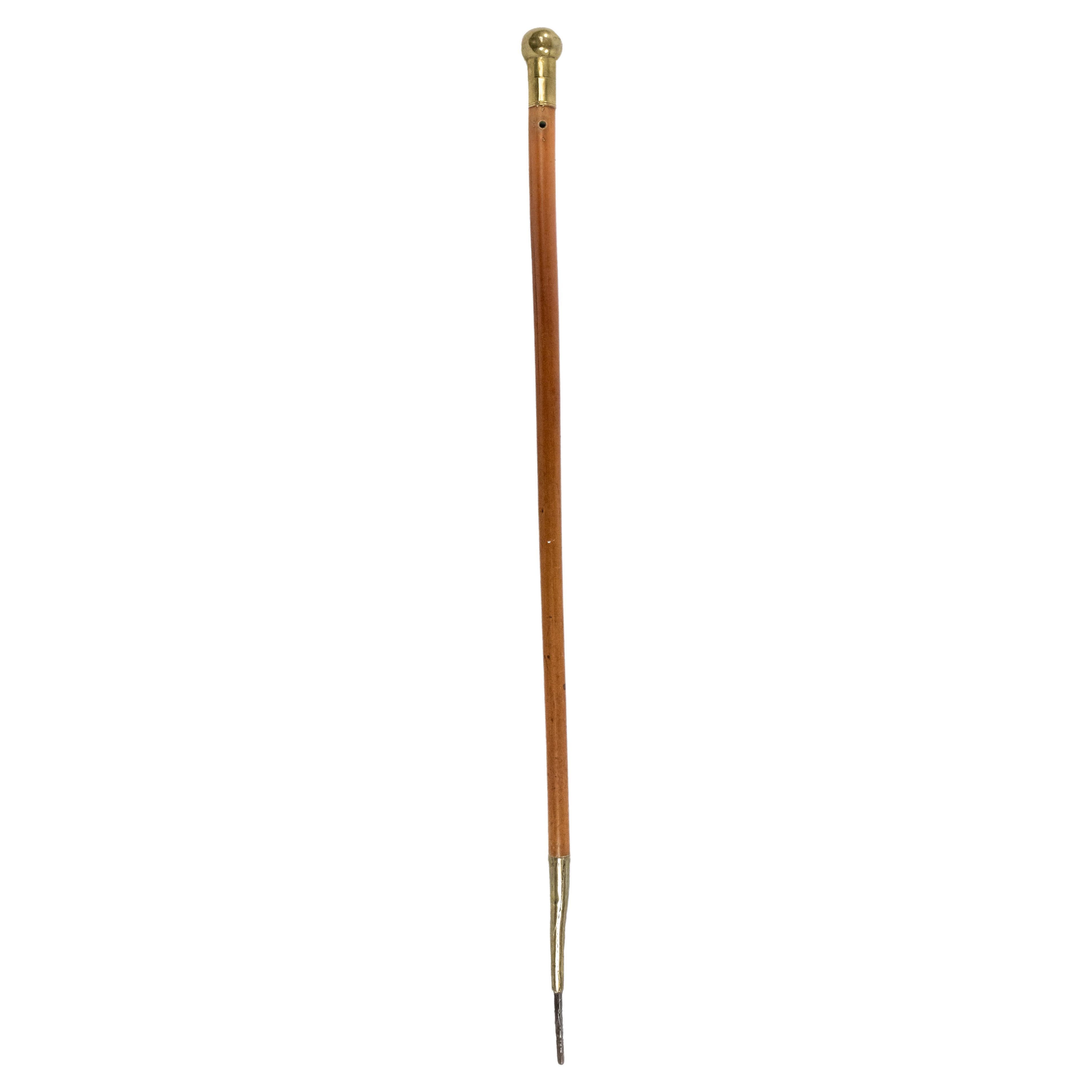 English Victorian Wood and Brass Cane For Sale