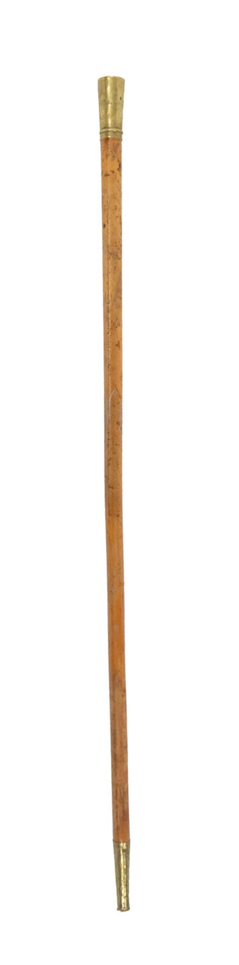 English Victorian Wood and Brass Cane