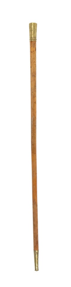English Victorian Wood and Brass Cane