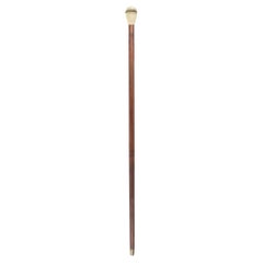 English Victorian Wood Cane with Sundial