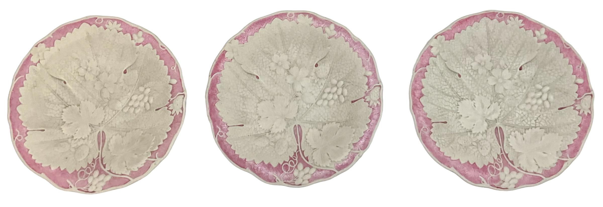 European English Wedgwood Style Basalt Glaze Pink & White Botanical / Begonia Plates -S/6