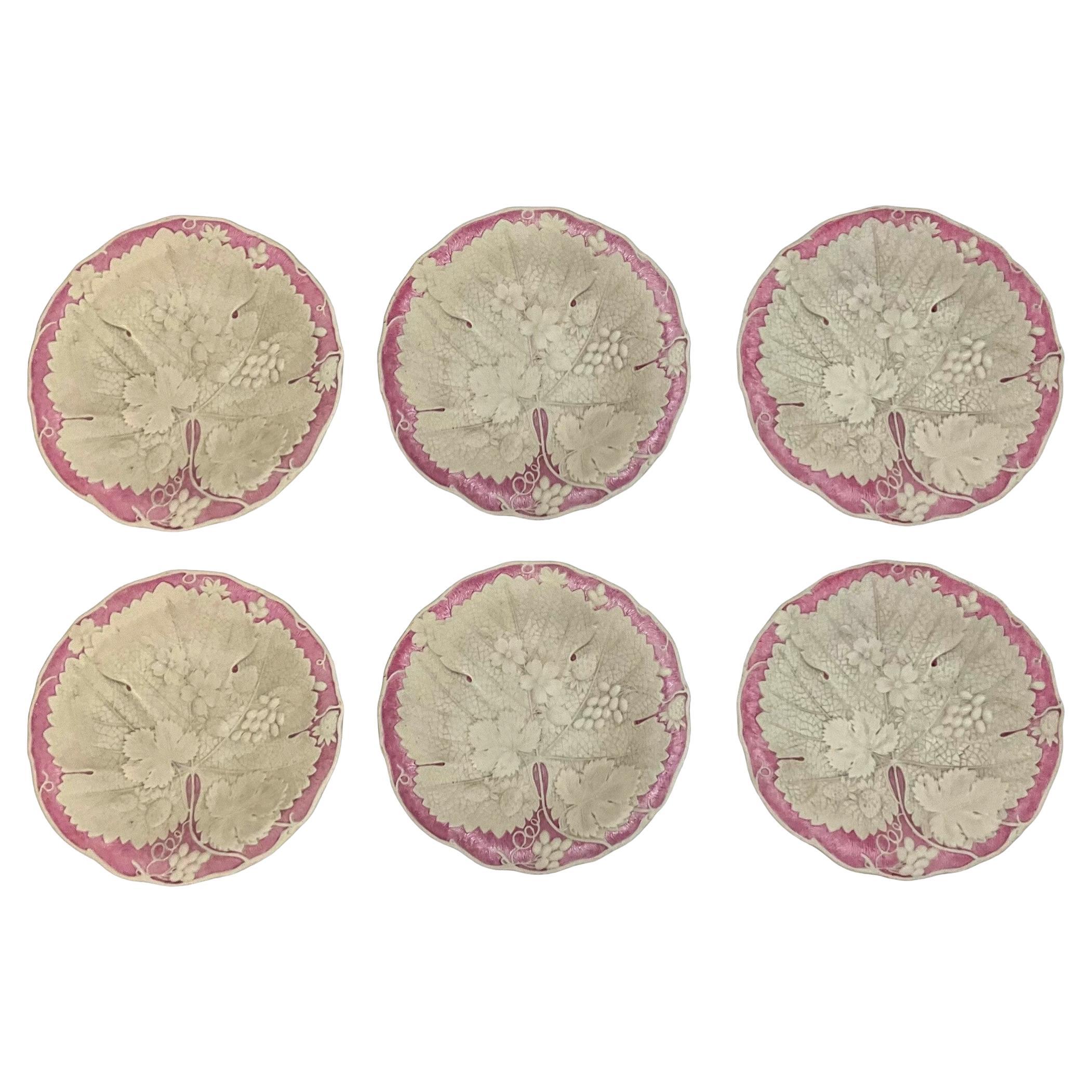 English Wedgwood Style Basalt Glaze Pink & White Botanical / Begonia Plates -S/6