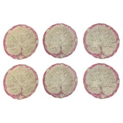 English Wedgwood Style Basalt Glaze Pink & White Botanical / Begonia Plates -S/6