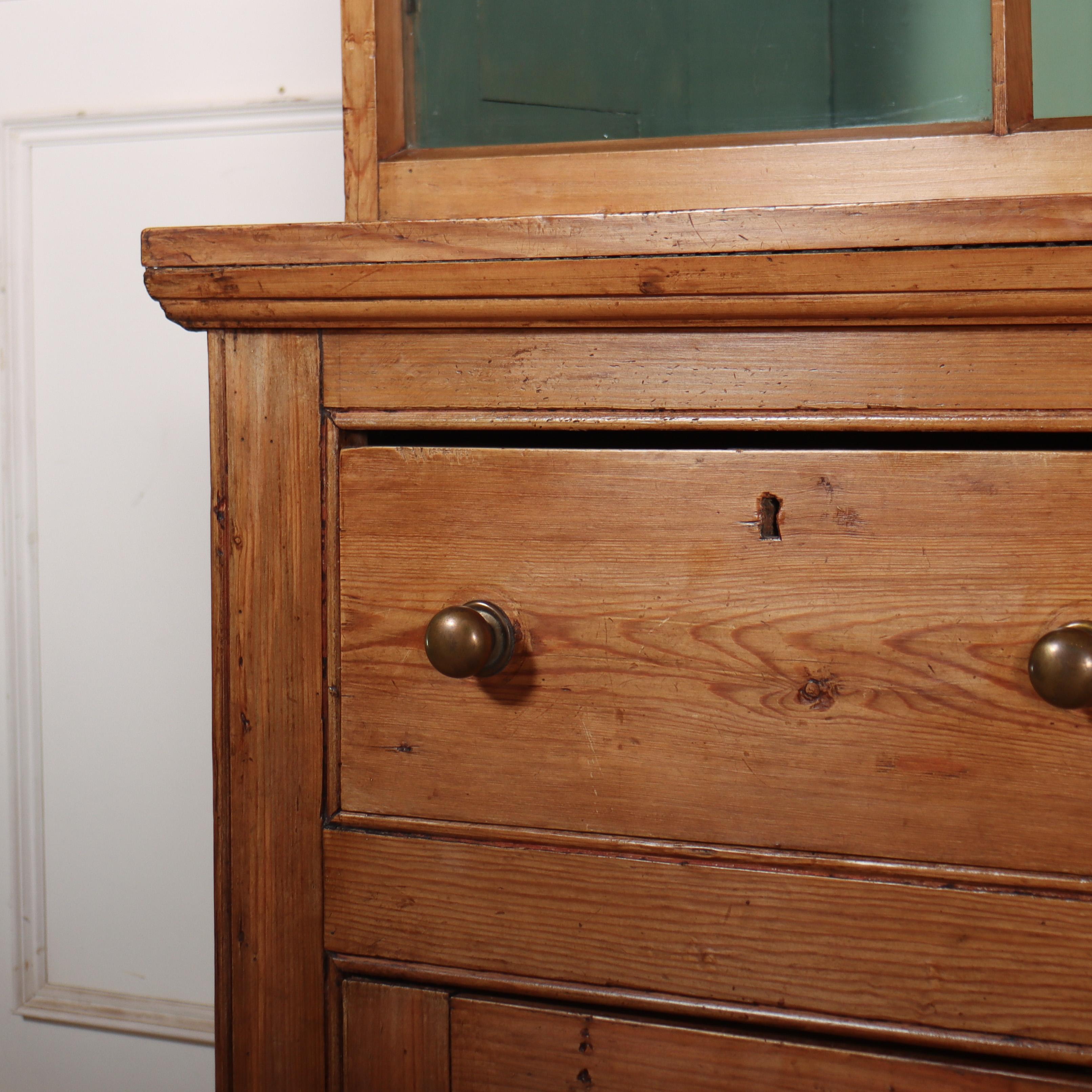 XIX secolo Cassettone inglese West Country in vendita