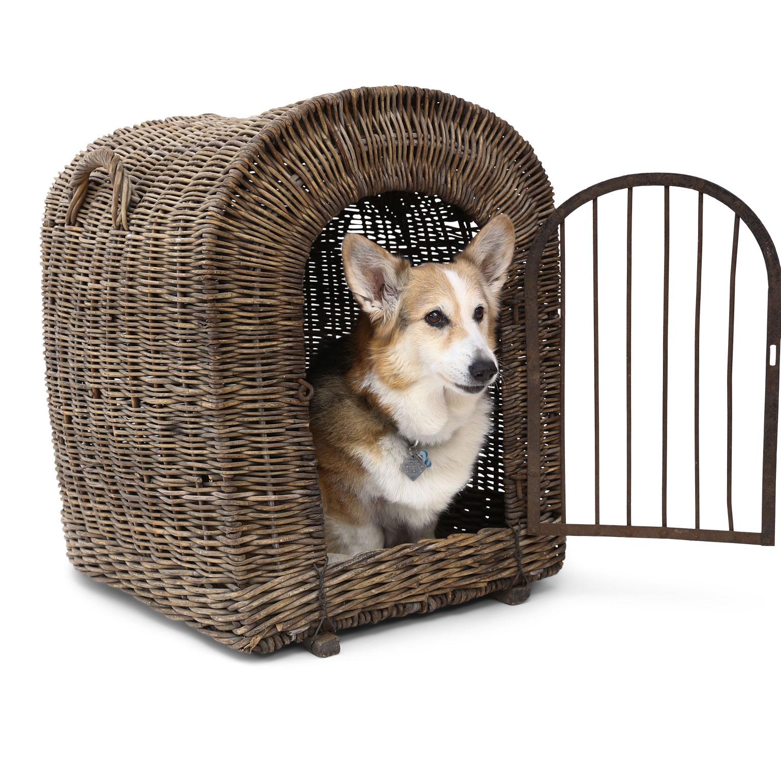 English brown wicker dog kennel or pet carrier (circa 1900-1910), rare large-scale and in good condition. Forged iron door and latch loop. Door opening measures: 18.5 inches high x 12.5 inches wide. Corgi not included.

Note: Original/early finish