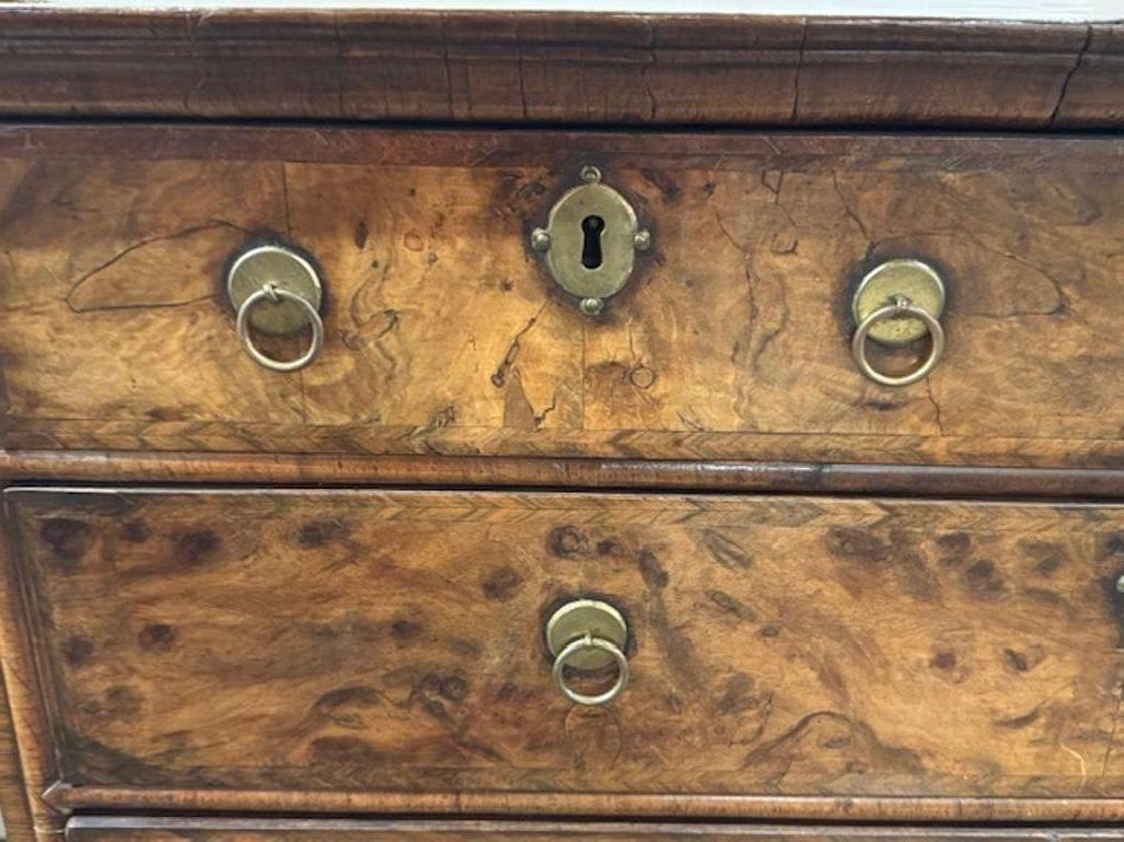 English William and Mary Walnut Chest For Sale 2