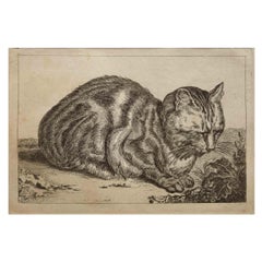 Engr on Paper "The Large Cat" Francois Vivares after Cornelis Visscher, C. 1749