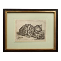 Used Engr on Paper "The Large Cat" Francois Vivares after Cornelis Visscher, C. 1749