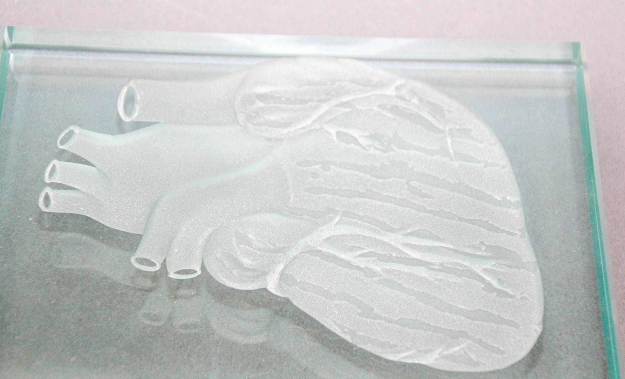 Engraved Anatomical Heart Model Crystal Art Glass Decor Paperweight For Sale 3