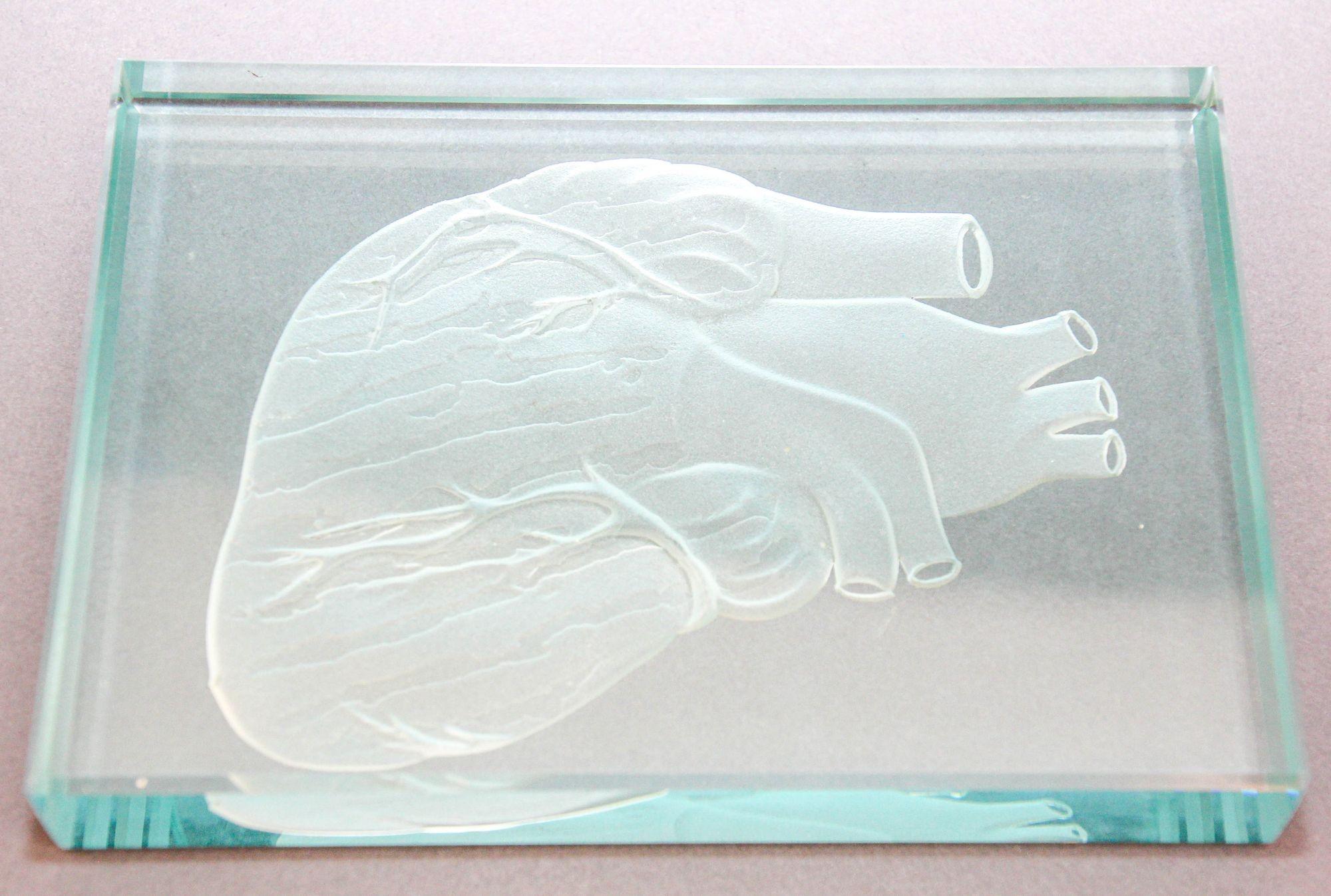 Engraved Anatomical Heart Model Crystal Art Glass Decor Paperweight For Sale 4