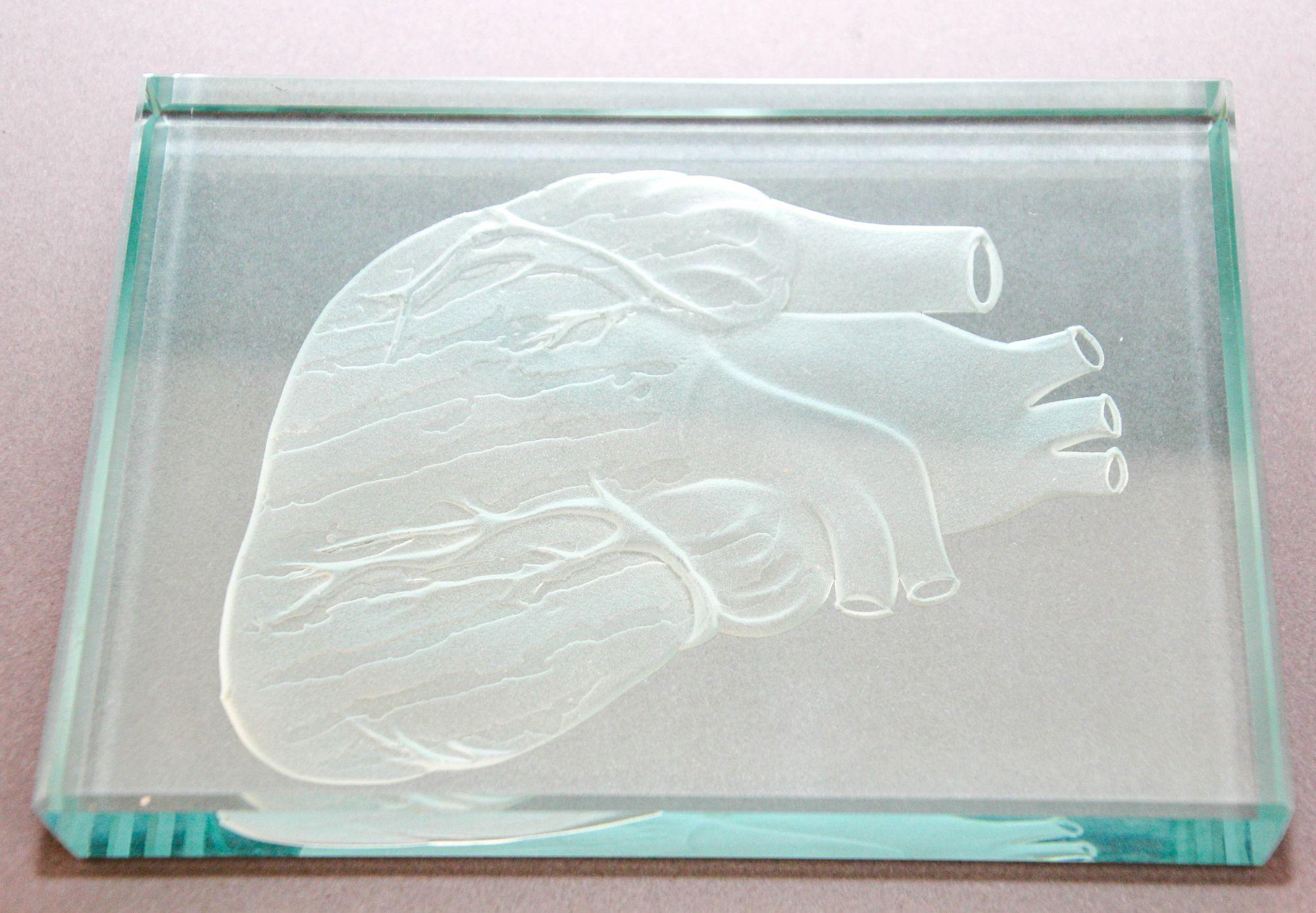Engraved Anatomical Heart Model Crystal Art Glass Decor Paperweight For Sale 5
