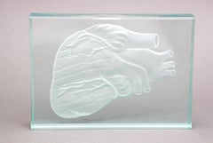 Engraved Anatomical Heart Model Crystal Art Glass Decor Paperweight