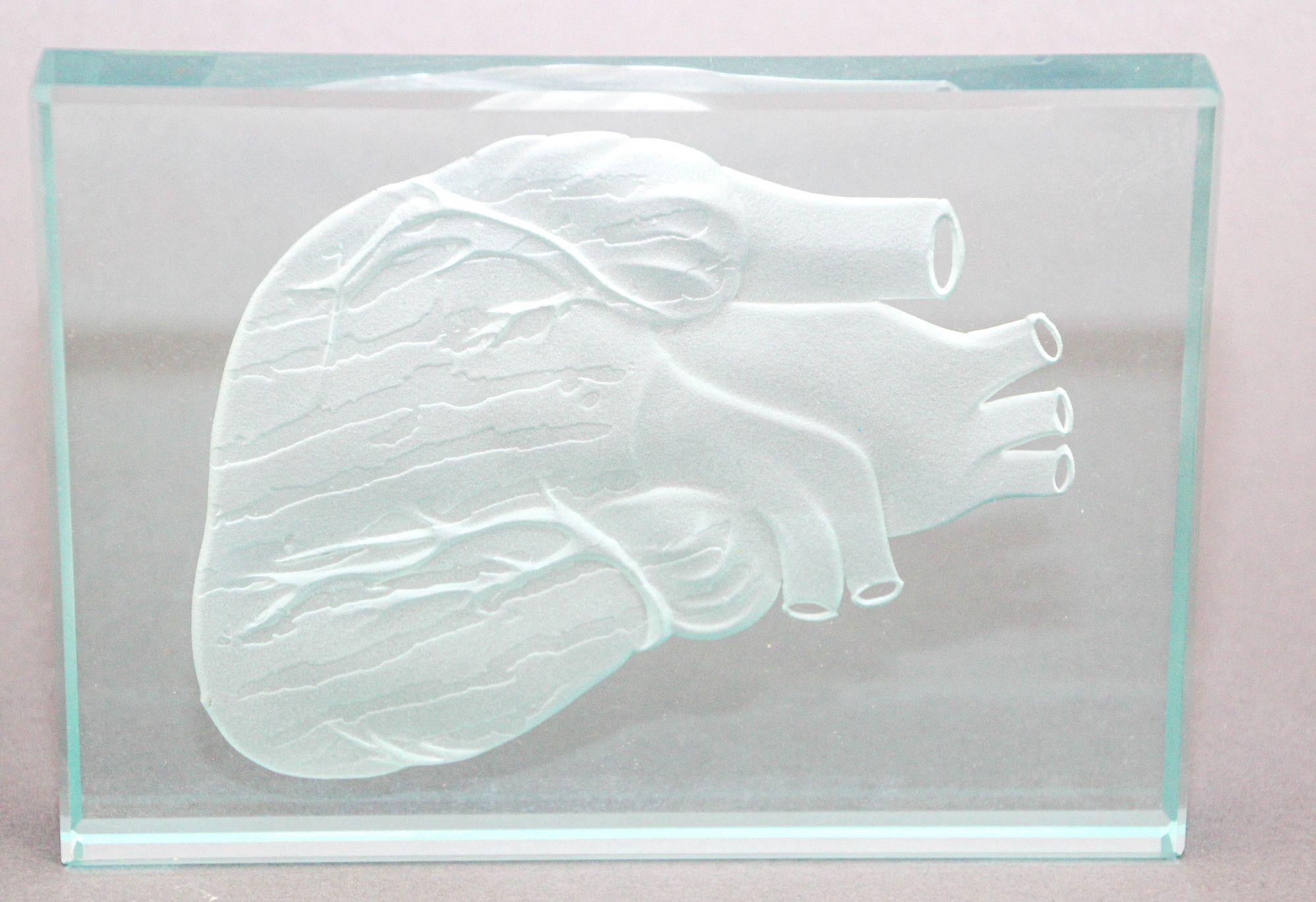 American Engraved Anatomical Heart Model Crystal Art Glass Decor Paperweight For Sale