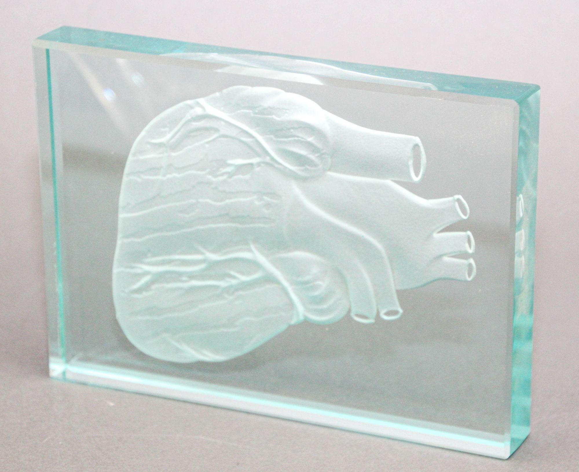 Engraved Anatomical Heart Model Crystal Art Glass Decor Paperweight In Good Condition For Sale In North Hollywood, CA