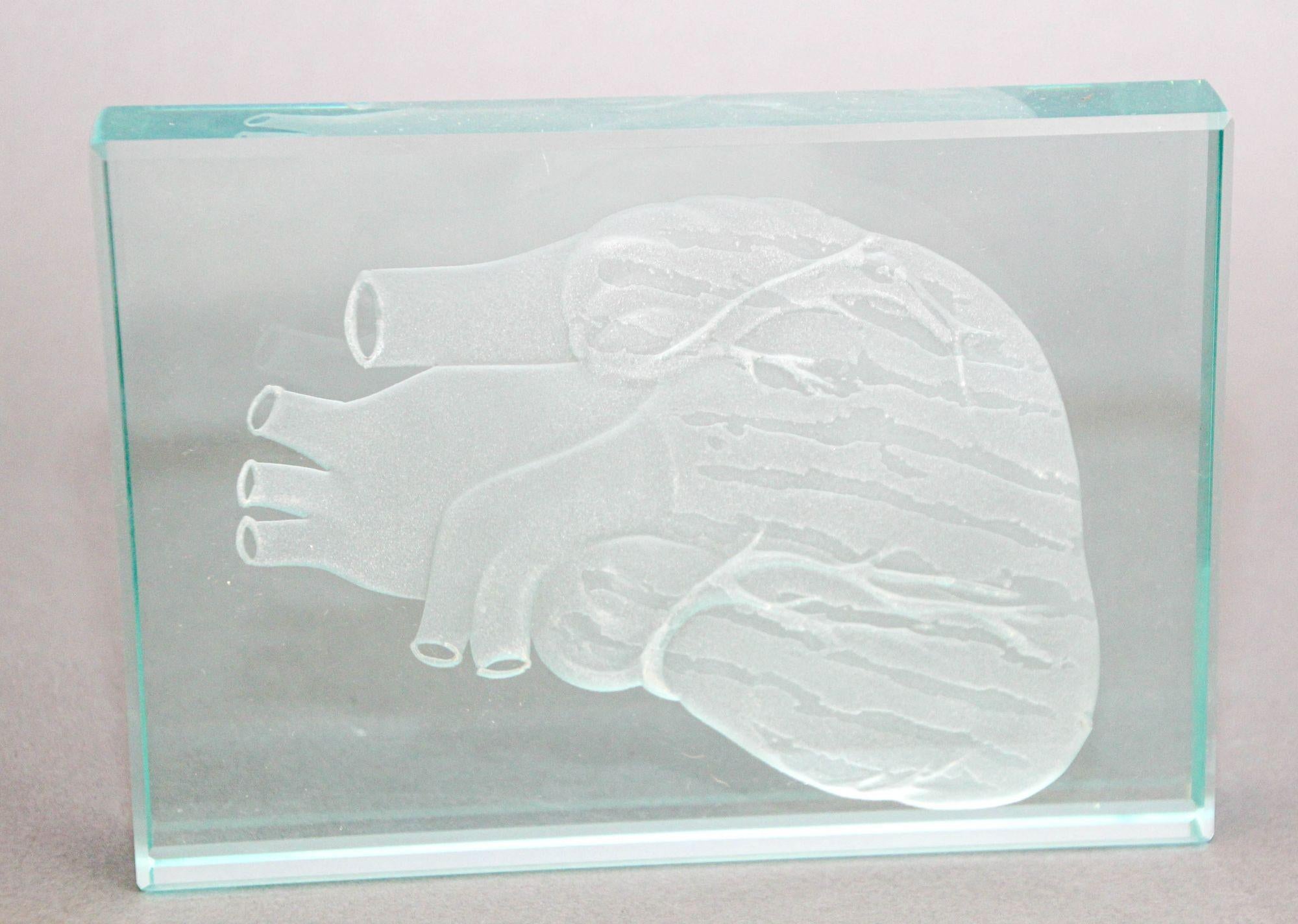 20th Century Engraved Anatomical Heart Model Crystal Art Glass Decor Paperweight For Sale