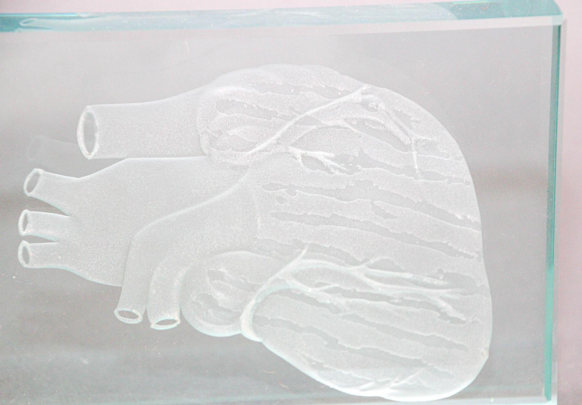 Engraved Anatomical Heart Model Crystal Art Glass Decor Paperweight For Sale 1