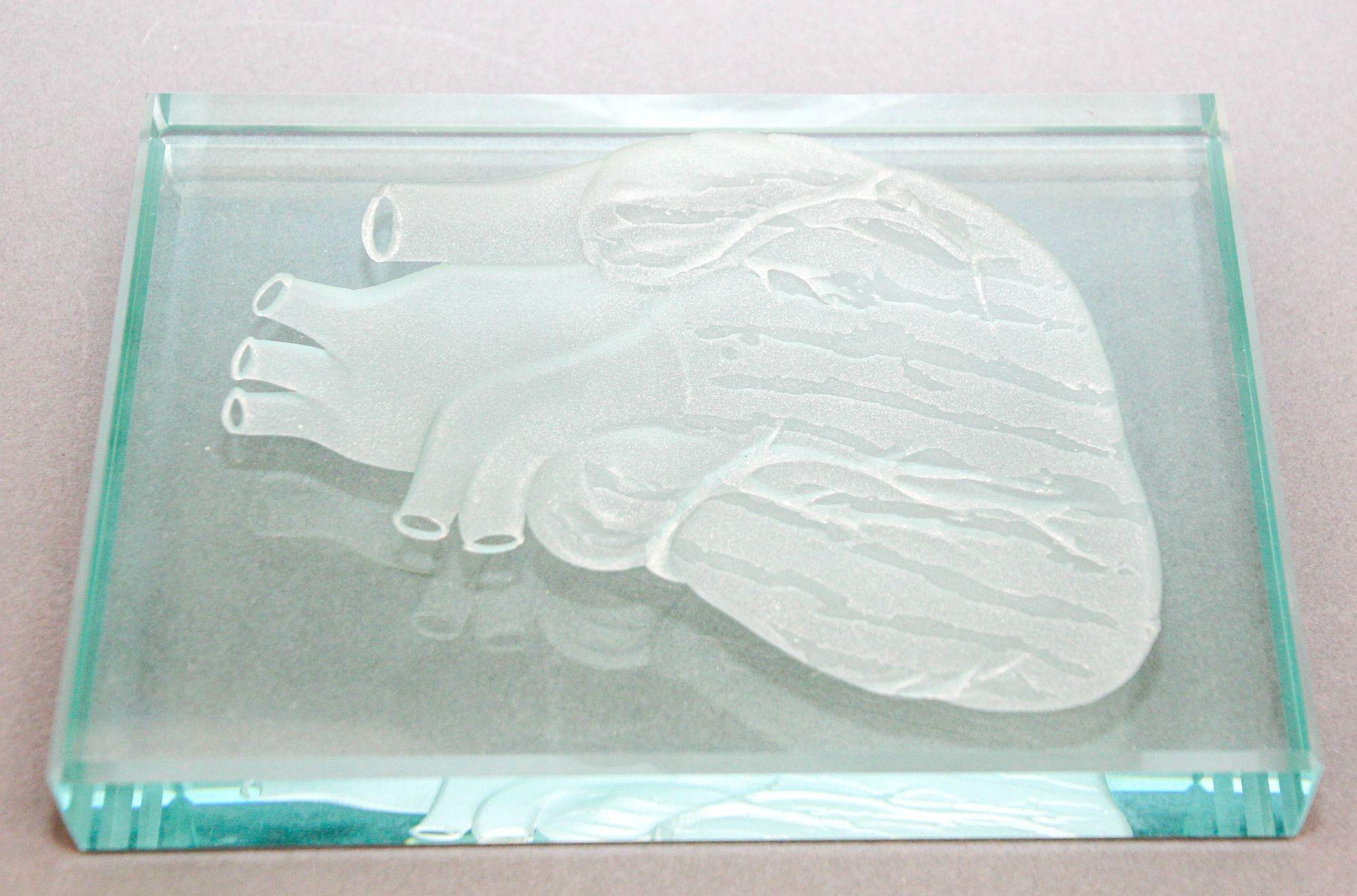 Engraved Anatomical Heart Model Crystal Art Glass Decor Paperweight For Sale 2