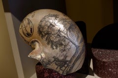 Conchiglia Nautilus incisa - Paesi Bassi, XVIII secolo