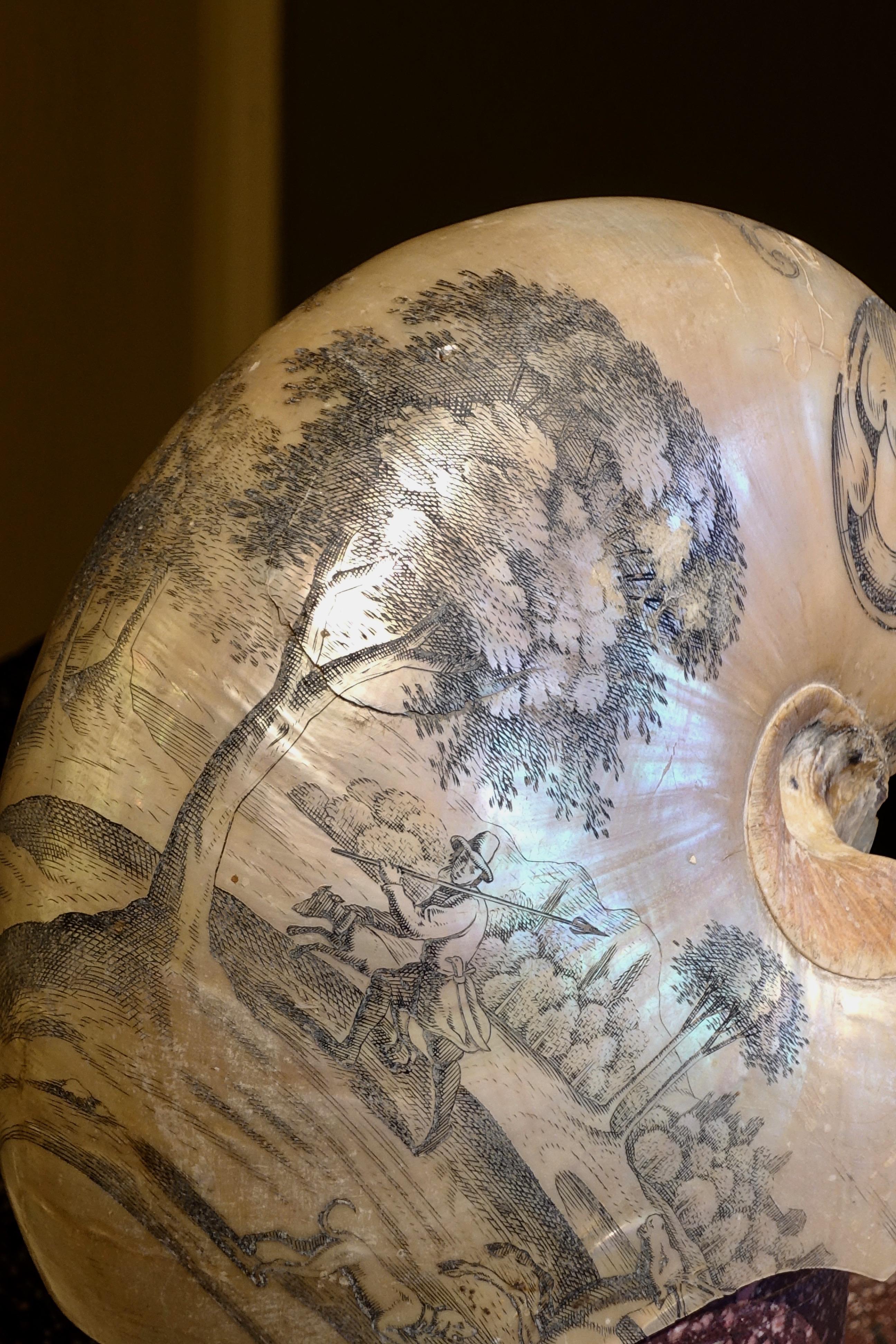 Dutch Colonial Engraved Nautilus shell - Netherlands, 18th century For Sale