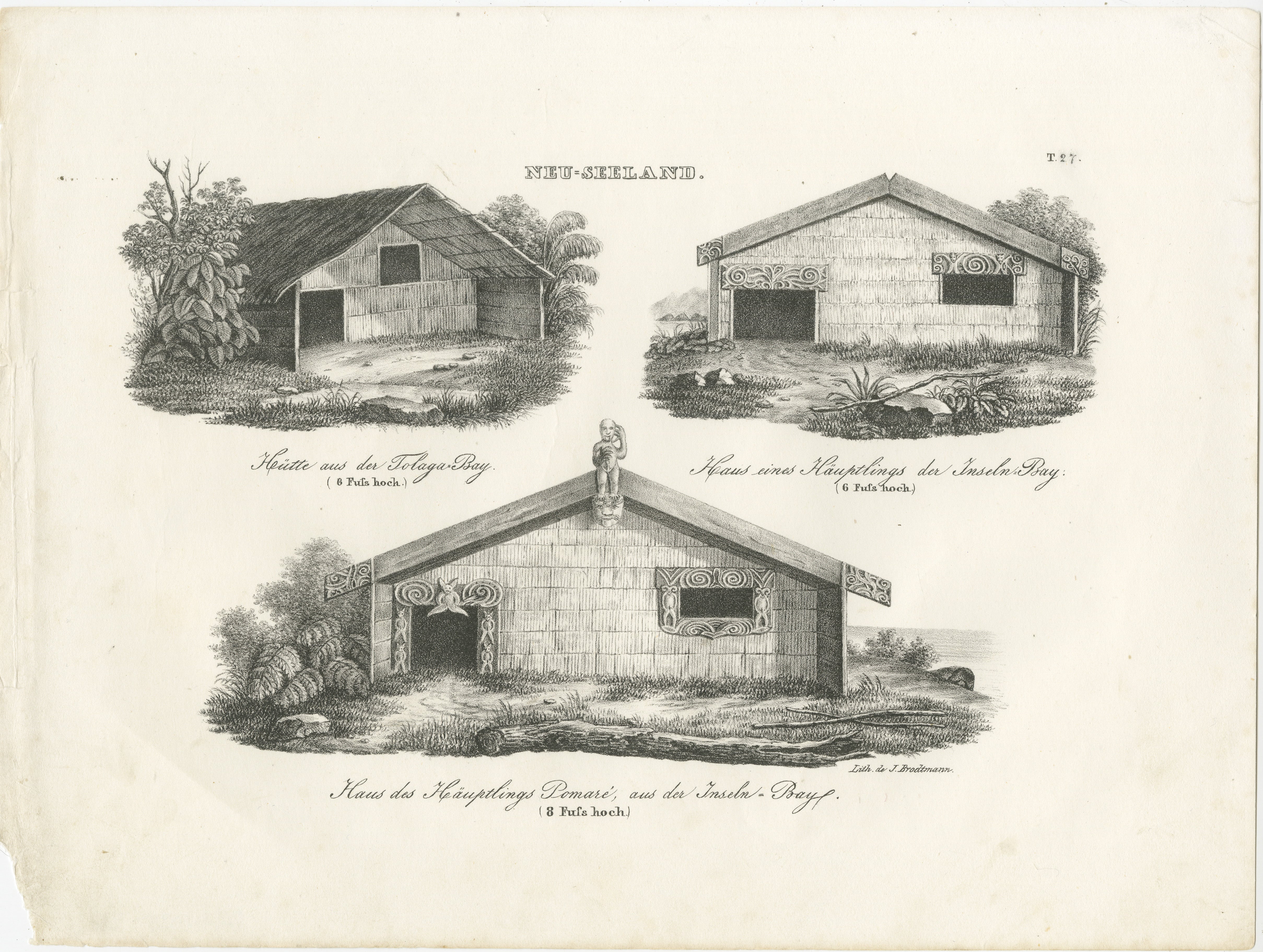 Titolo: Abitazioni Maori della Baia di Tolaga e della Baia Inseln  

Descrizione: Questa incisione presenta tre abitazioni tradizionali Maori, ognuna delle quali presenta elementi architettonici distintivi di Tolaga Bay e Inseln-Bay, in Nuova