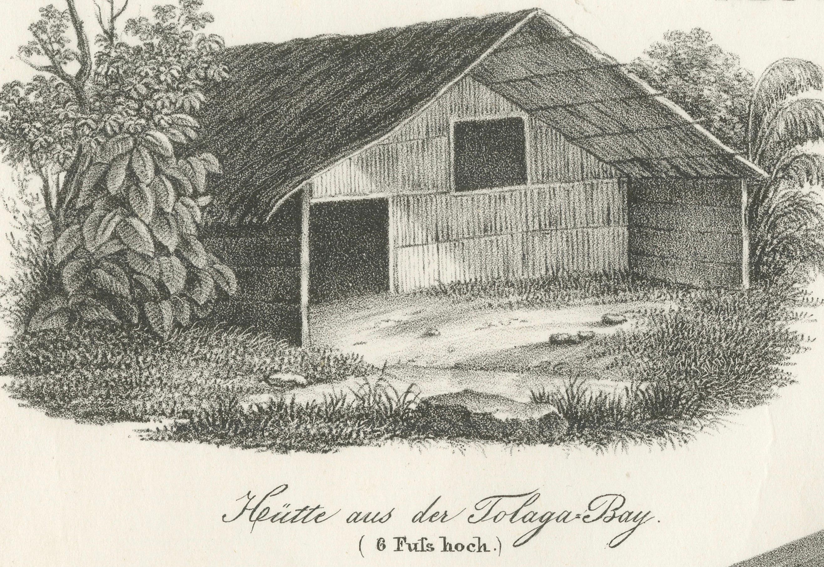Carta Incisione di abitazioni Maori da Tolaga Bay e Inseln-Bay, 1836 in vendita