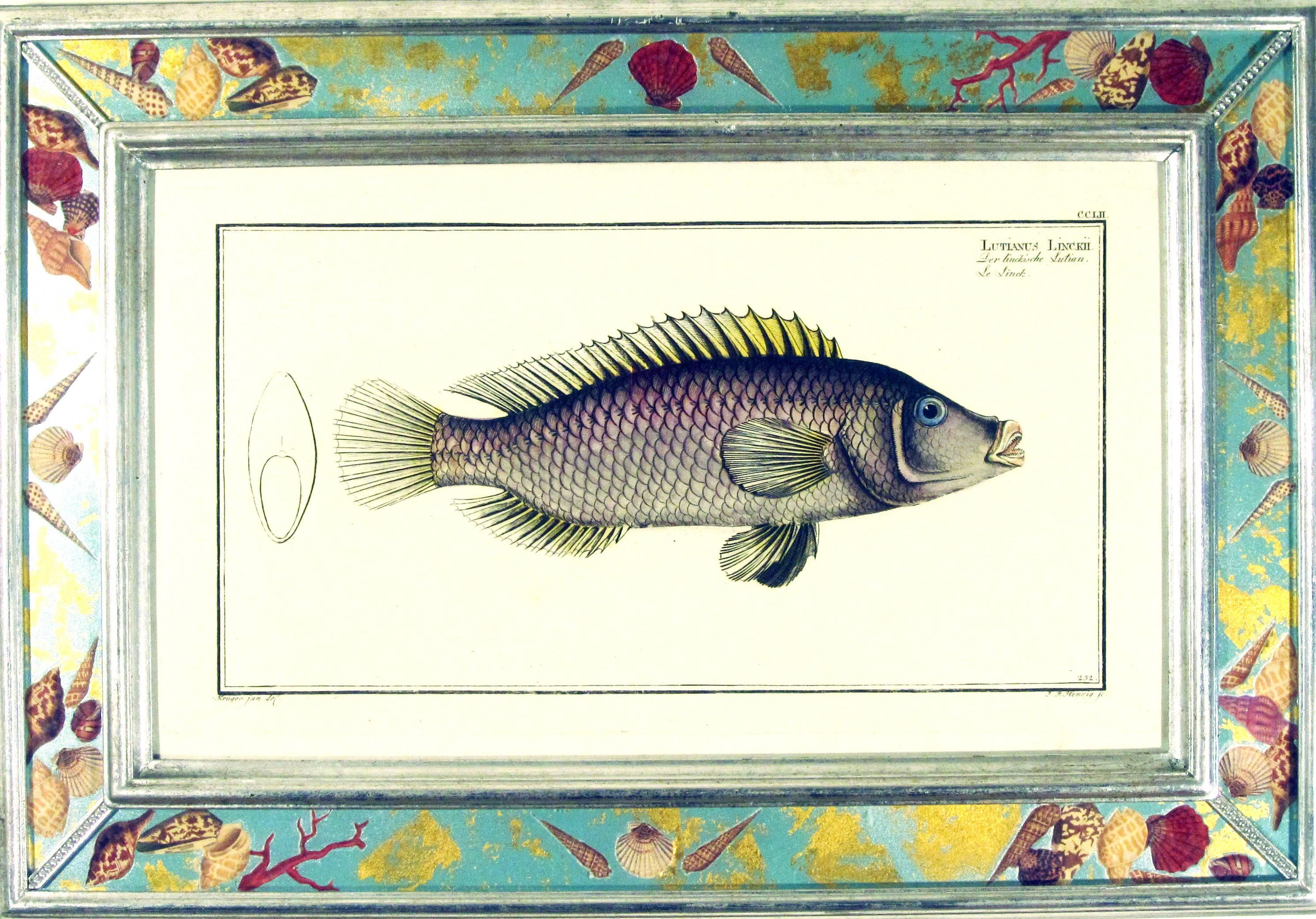 18th Century Engravings of Fish by Marcus Bloch,
A pair,
circa 1780.

A fine pair of prints of fish by Marcus Bloch with decoupage frame.

Dimensions: 13 3/4 inches x 20 inches wide.

Bloch issued folio and octavo prints and each specimen was