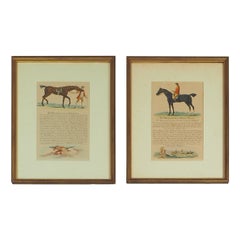 Engravings of Racehorses, The Sportsman’s Pocket Companion, Circa 1760