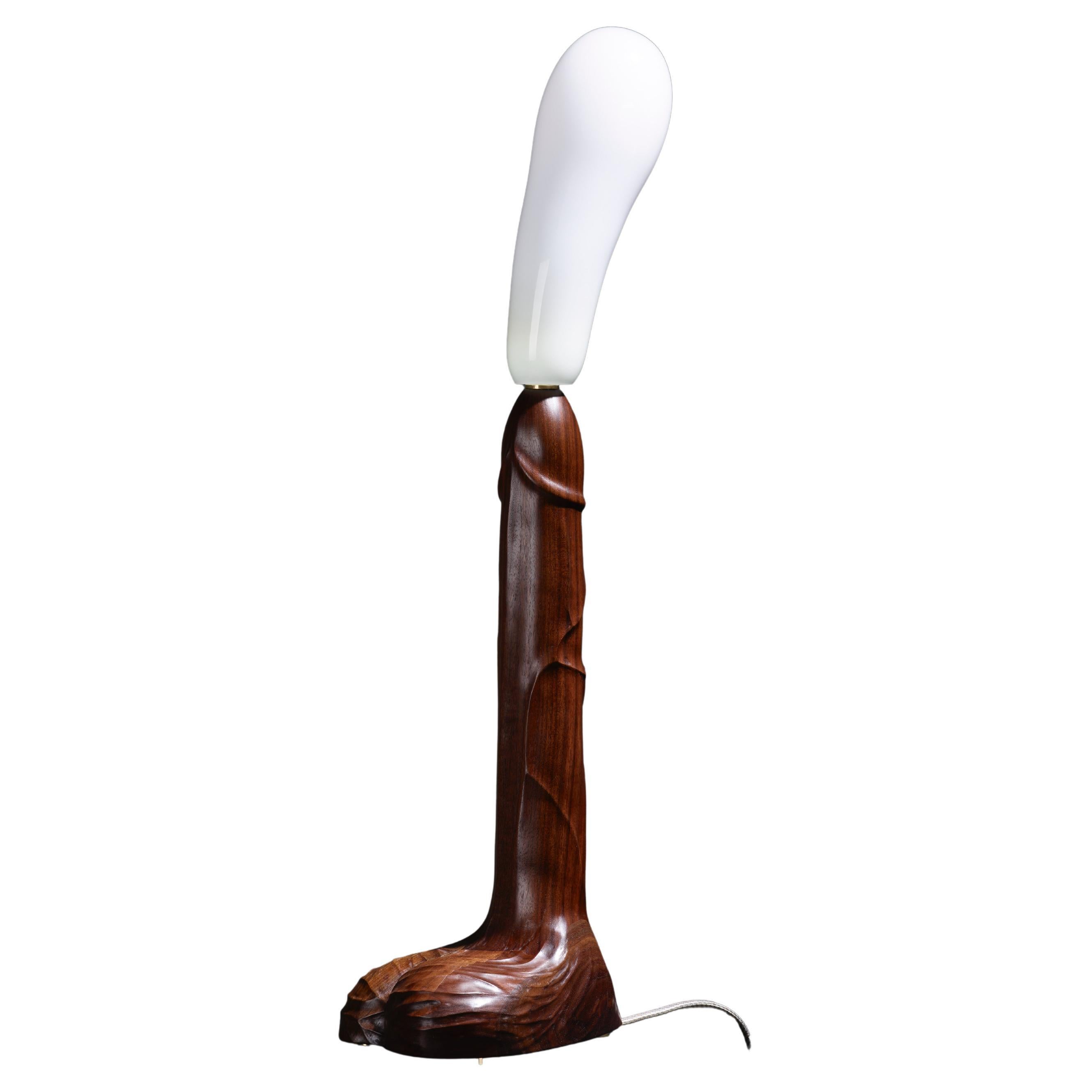 Lampe d'illumination n° 1 en vente