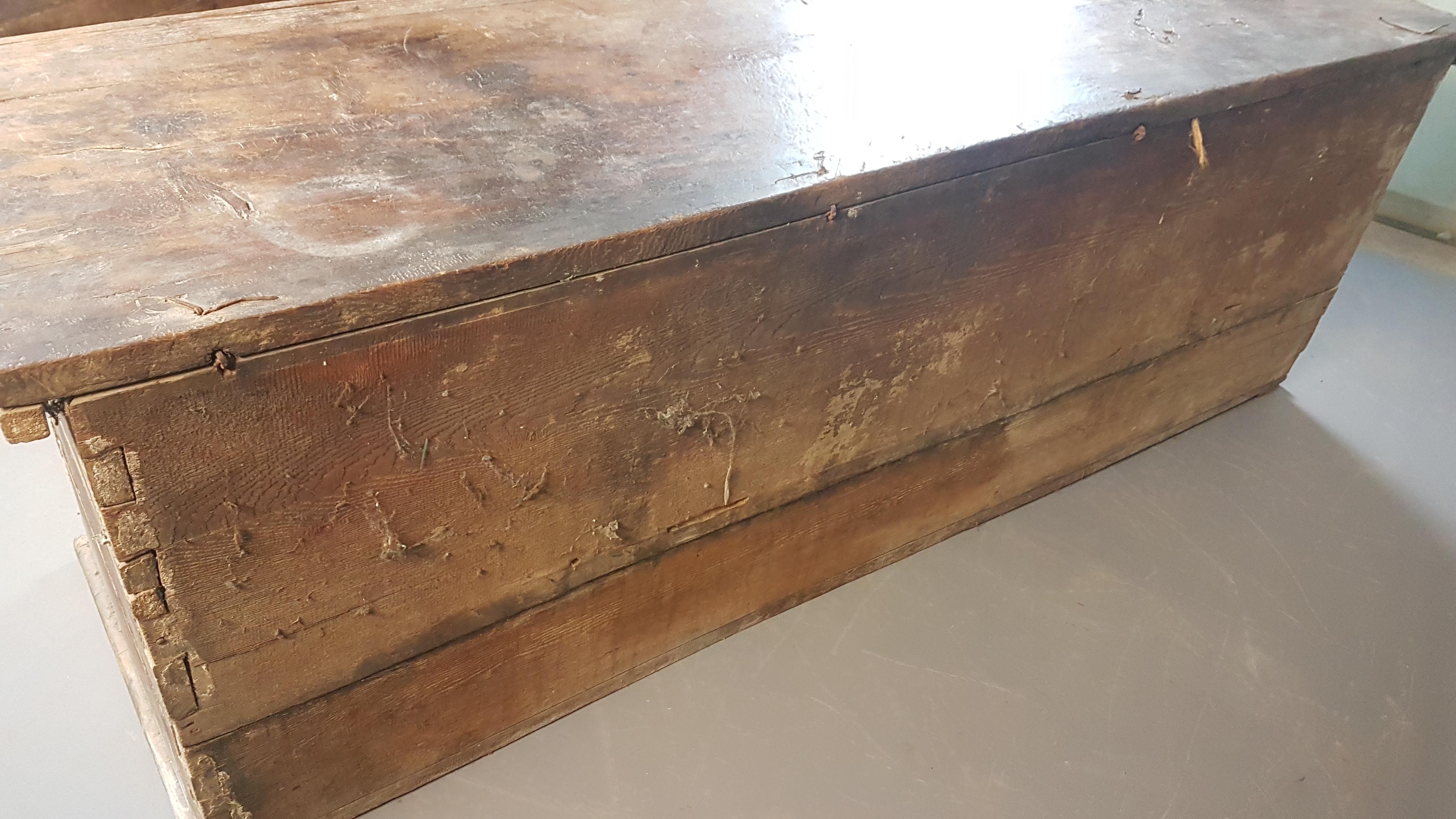 Enormous 18th Century Carved and Painted Pine Coffer For Sale 4