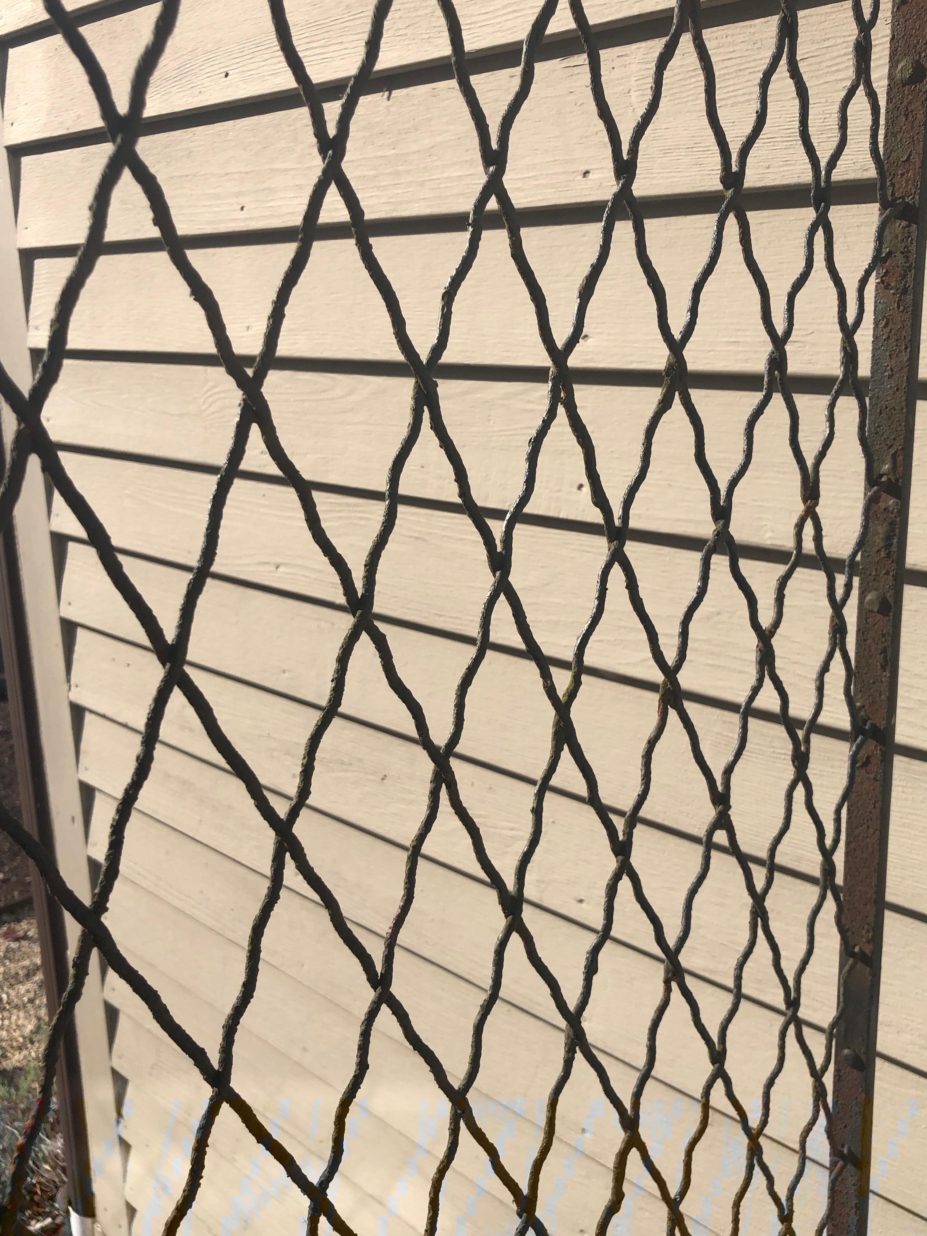 Enormous Early 20th Century Wrought Iron American Arbor For Sale 1