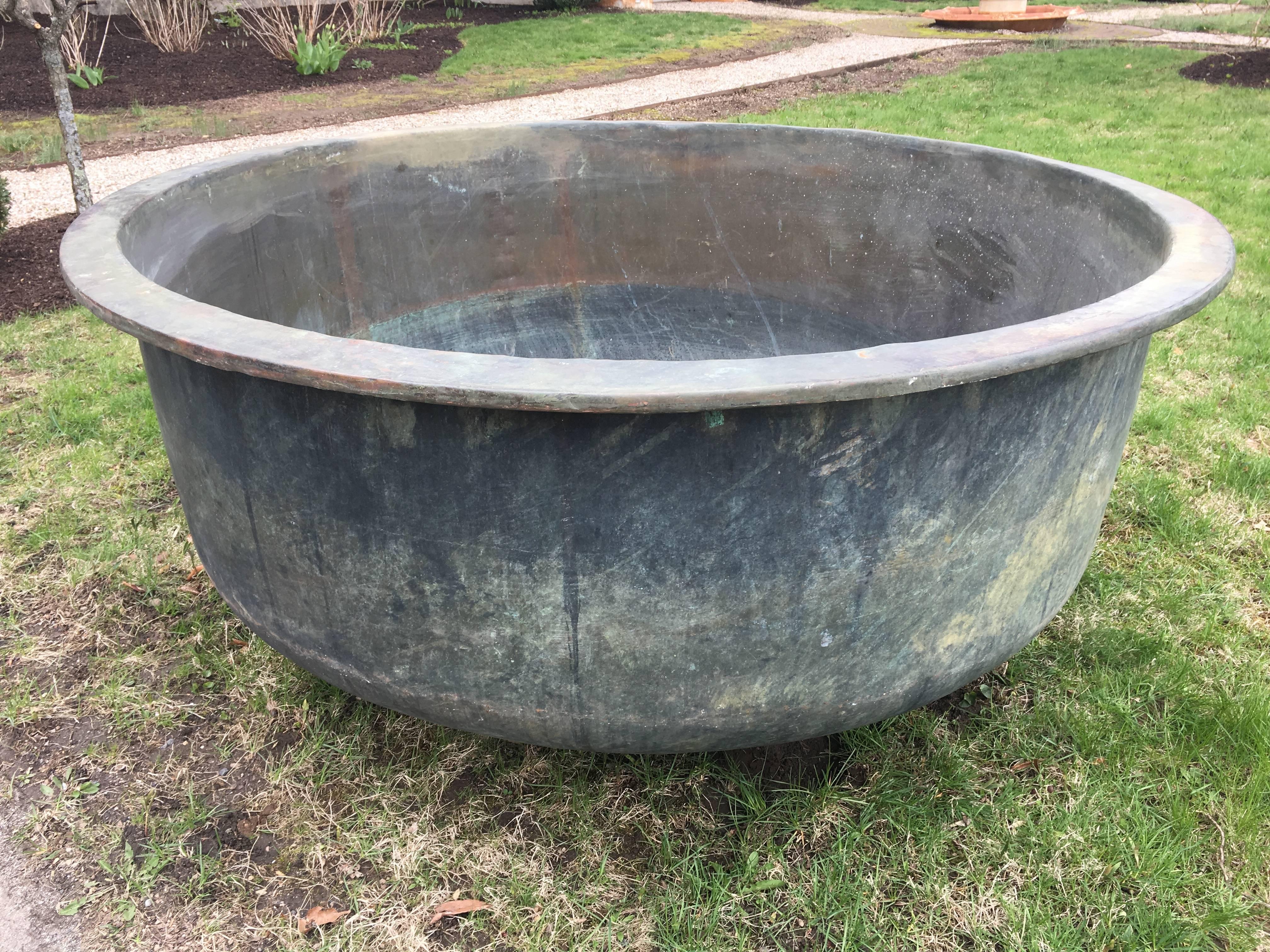 bathtub planter