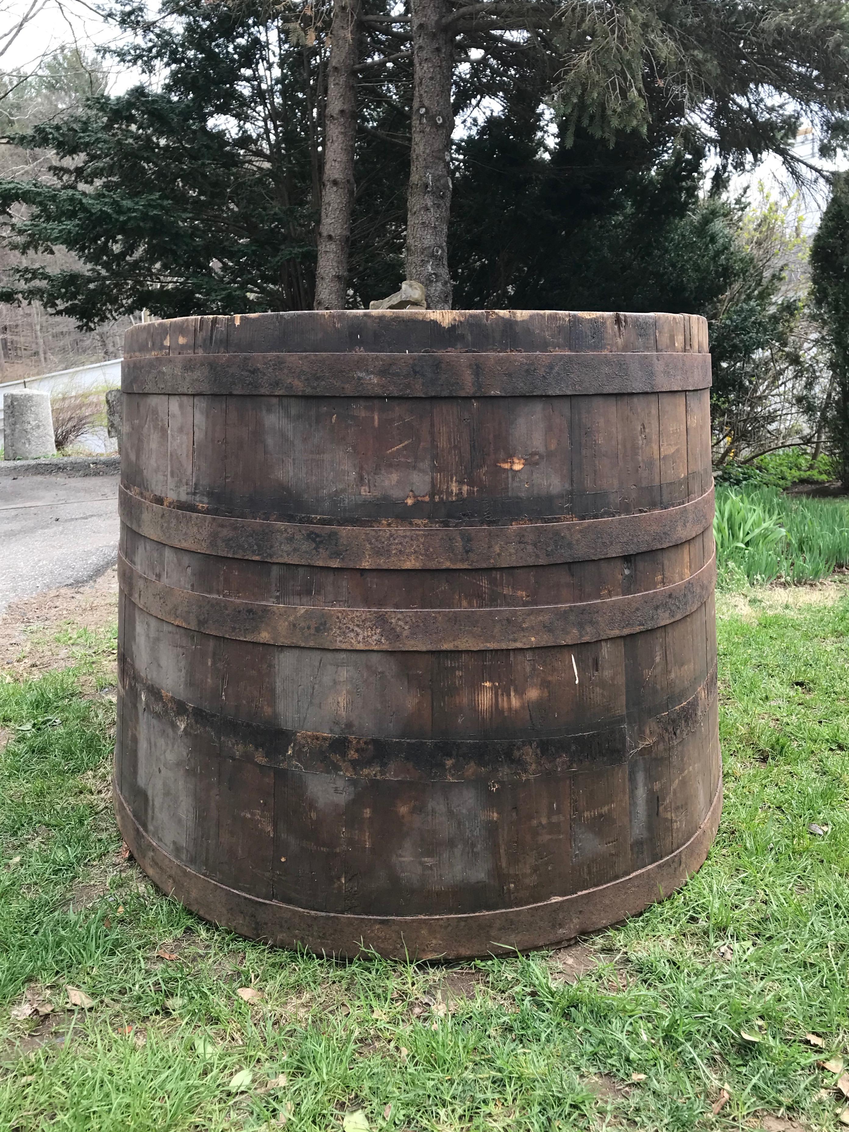 We've had plenty of wooden wine tubs before, but these are just sensational. Handmade of pine and with their original wrought iron hoops, they are in all original, as-found condition with no drain holes as of now (but we can drill them if you like).