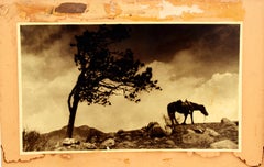 Enos A. Mills Photograph, "End of the Trail", c1921, Sepia Toned Silver Print
