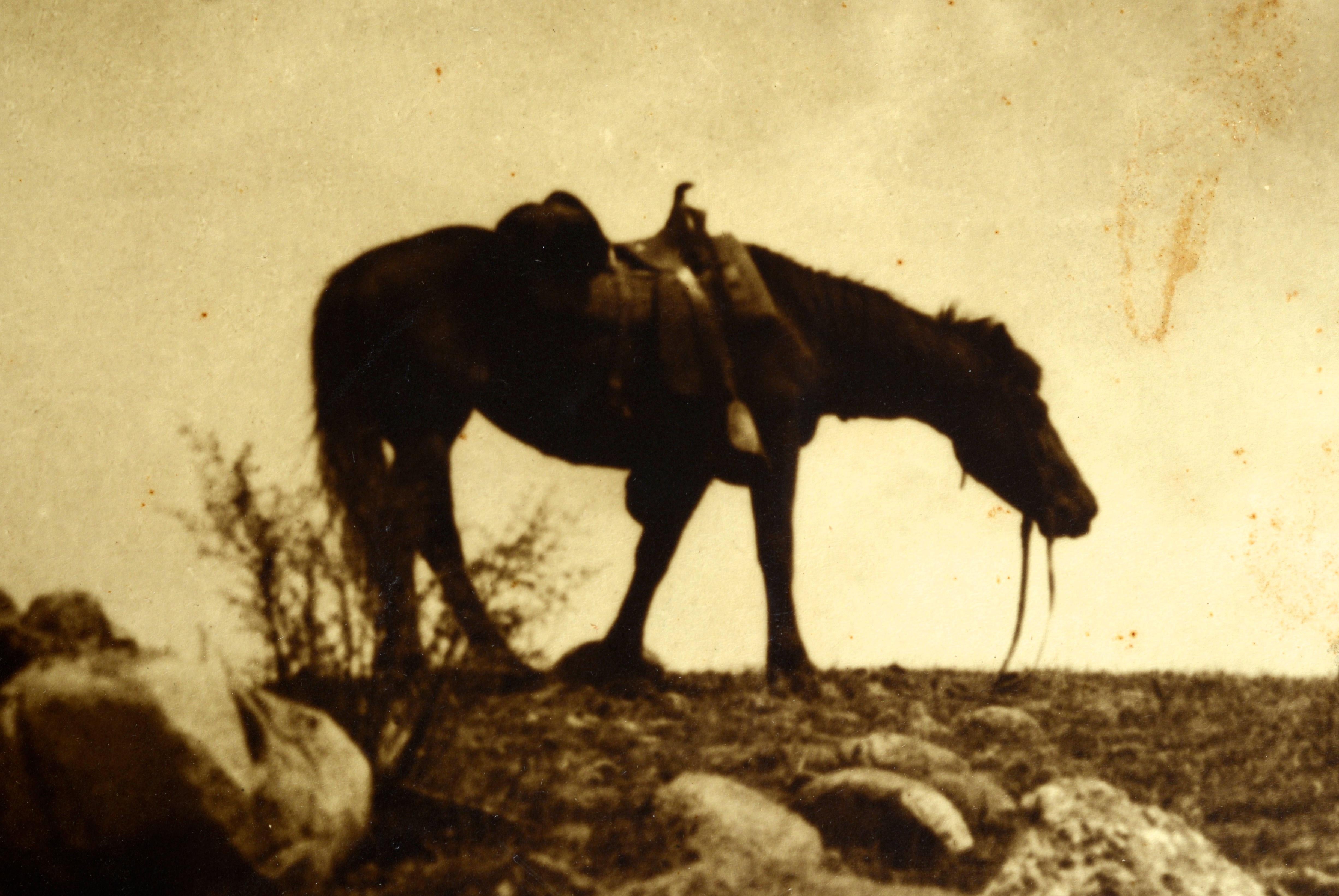 Fotografía de Enos A. Mills, 