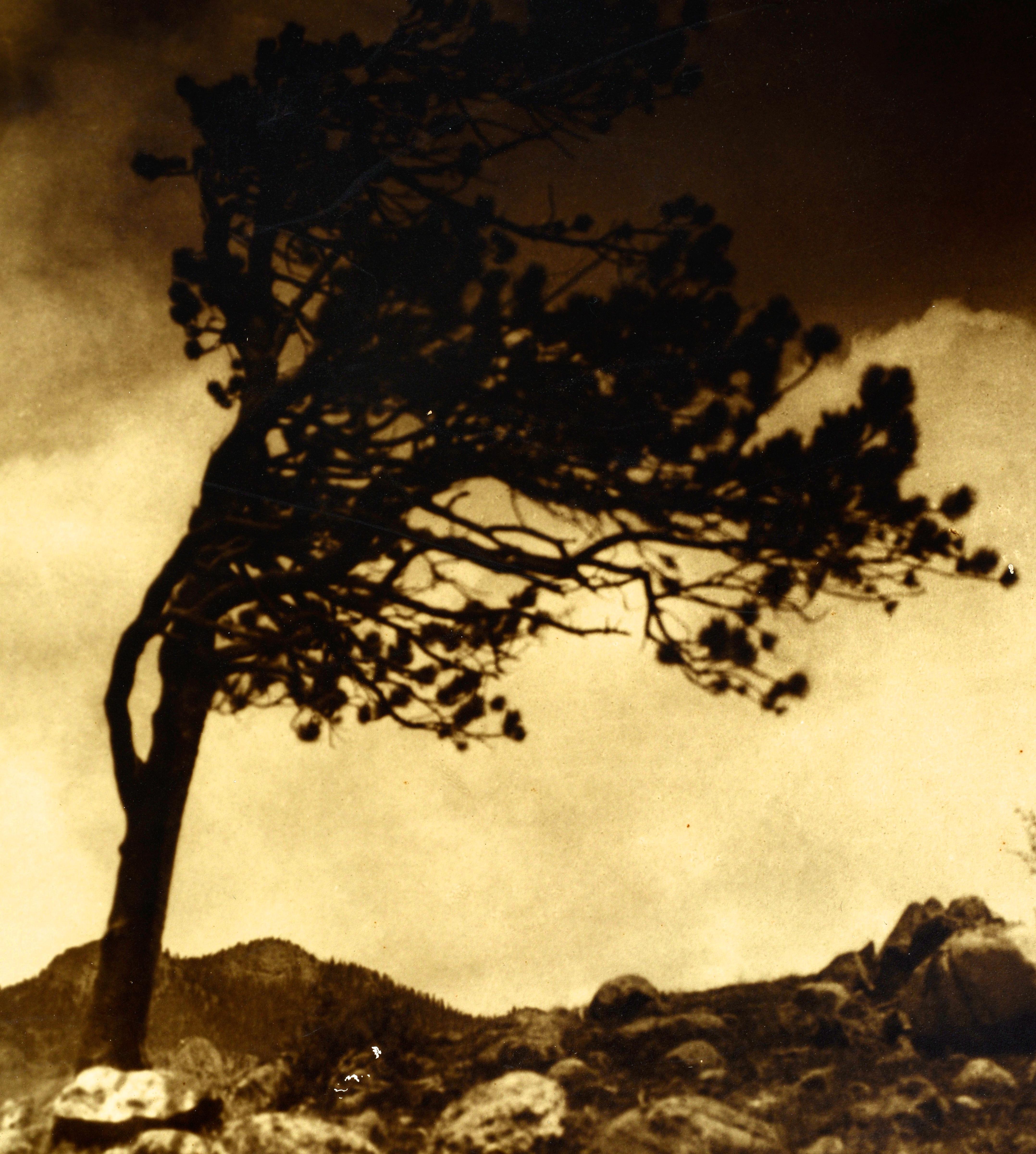 Fotografía de Enos A. Mills, 