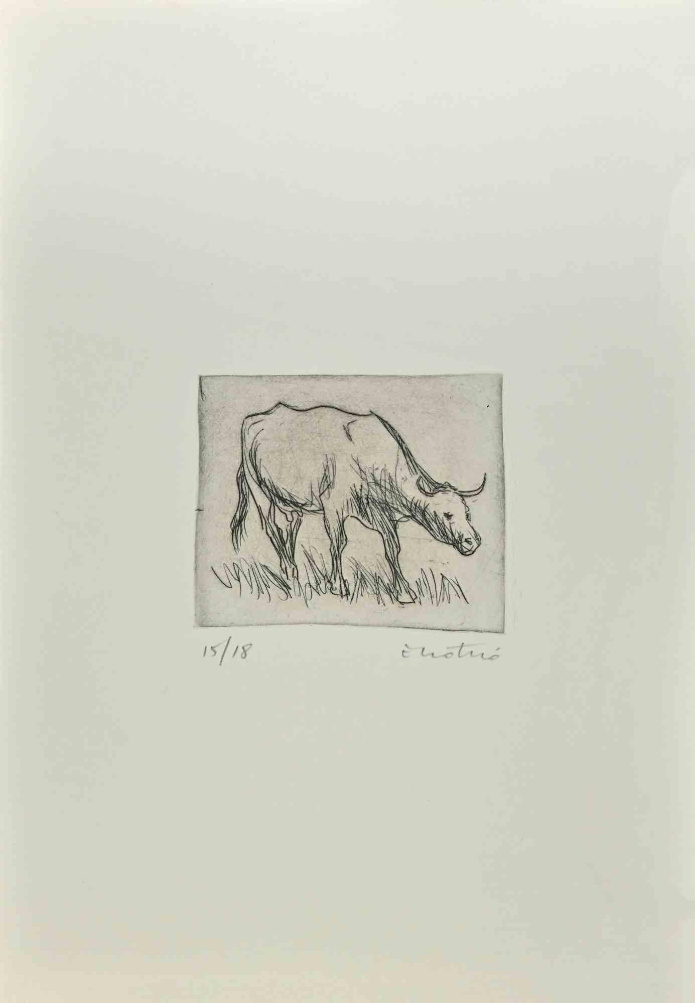 Bull is an Etching realized by Enotrio Pugliese in 1963.

Limited edition of 18 copies numbered and signed by the artist.

Good condition on a white cardboard.

Enotrio Pugliese (May 11, 1920 - August 1989) was an Italian painter. Born in Buenos