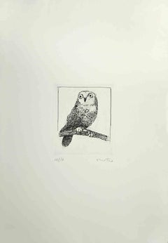 BUNDLE OF 6 Owl - Etching by Enotrio Pugliese - 1970s