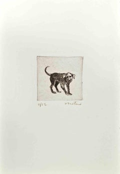 Dog - Etching  by Enotrio Pugliese - 1963