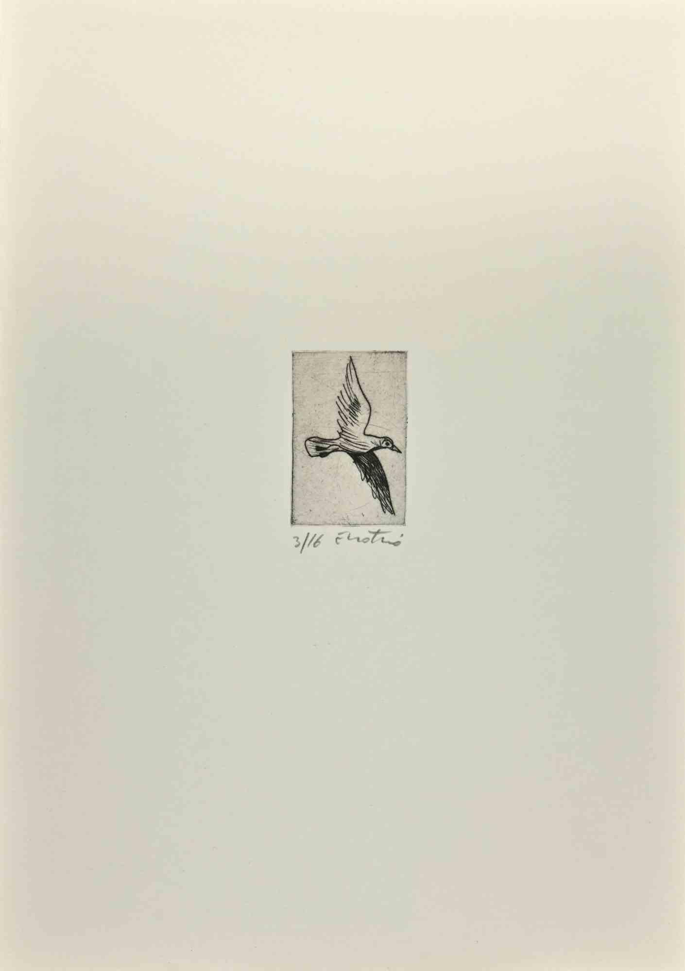 Gravure d'une colombe par Enotrio Pugliese - 1963