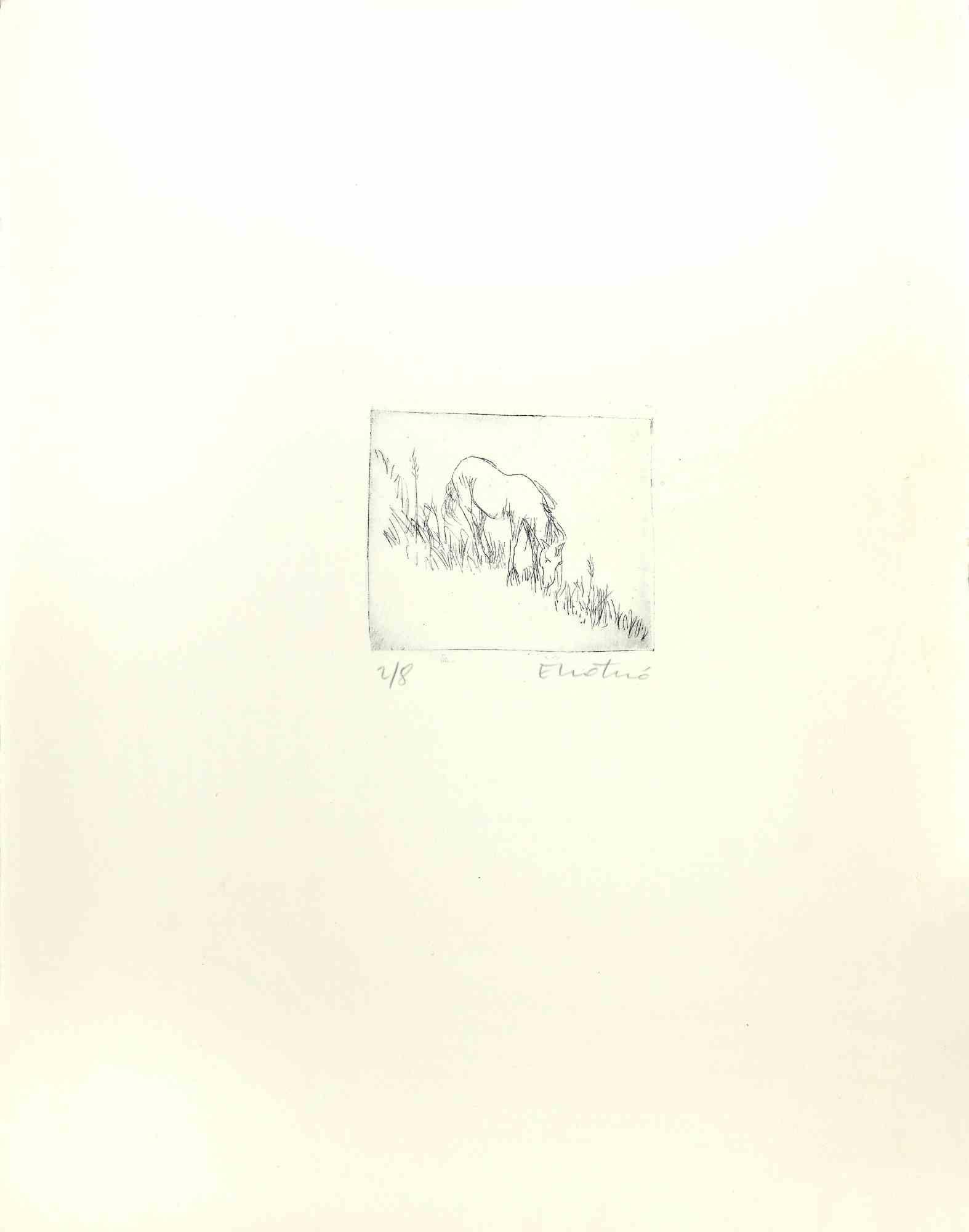 Horse is a drypoint and etching, realized by Enotrio Pugliese in the 1970s.

Limited edition of 2/8 prints, numbered and Hand-signed by the artist on the lower.

Good conditions.

Enotrio Pugliese (May 11, 1920 - August 1989) was an Italian painter.