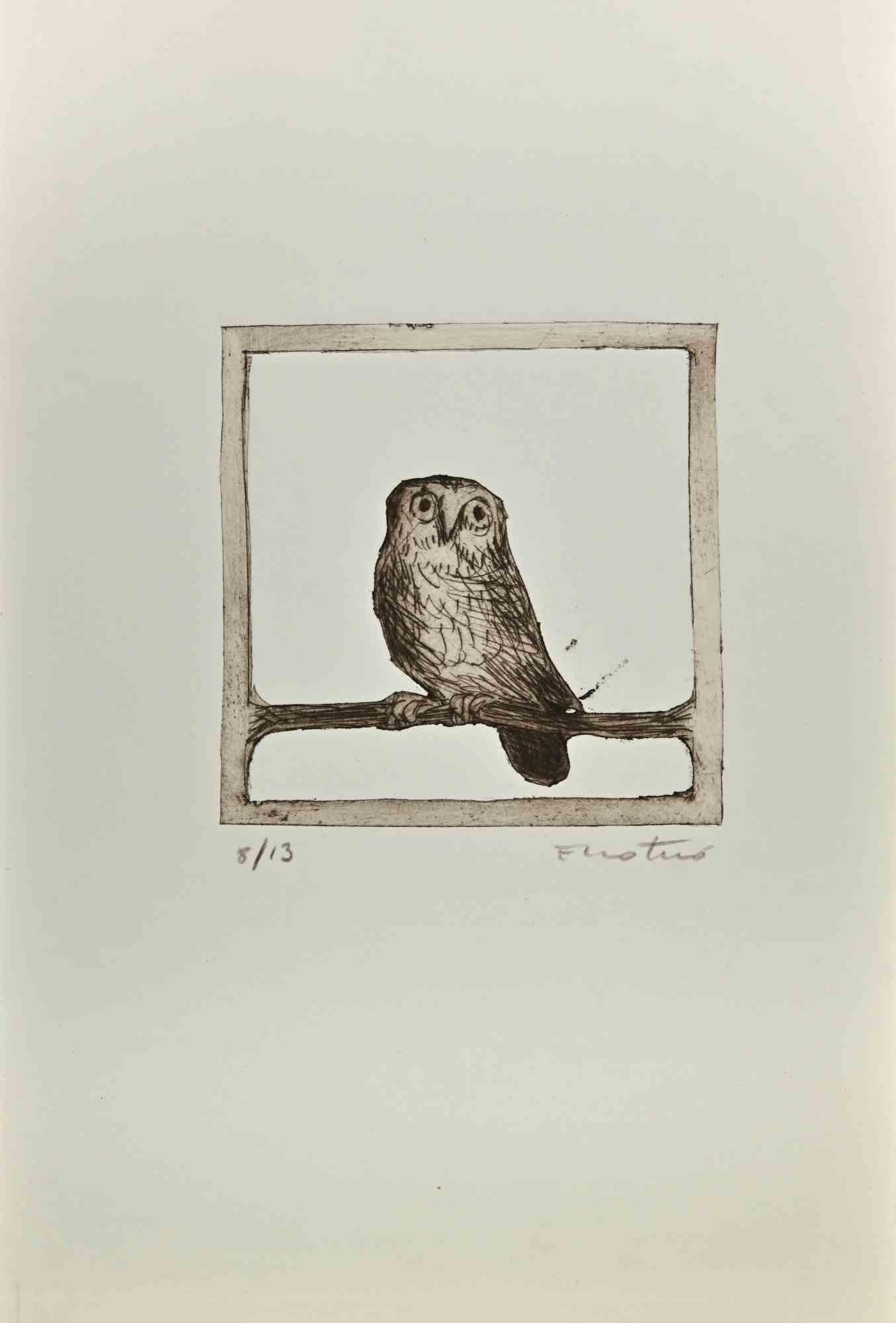 Owl  - Etching by Enotrio Pugliese - 1963