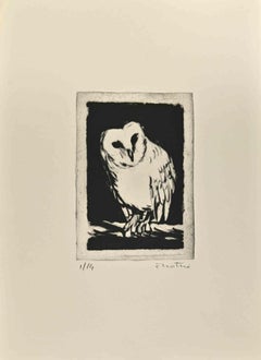 Owl - Etching  by Enotrio Pugliese - 1963