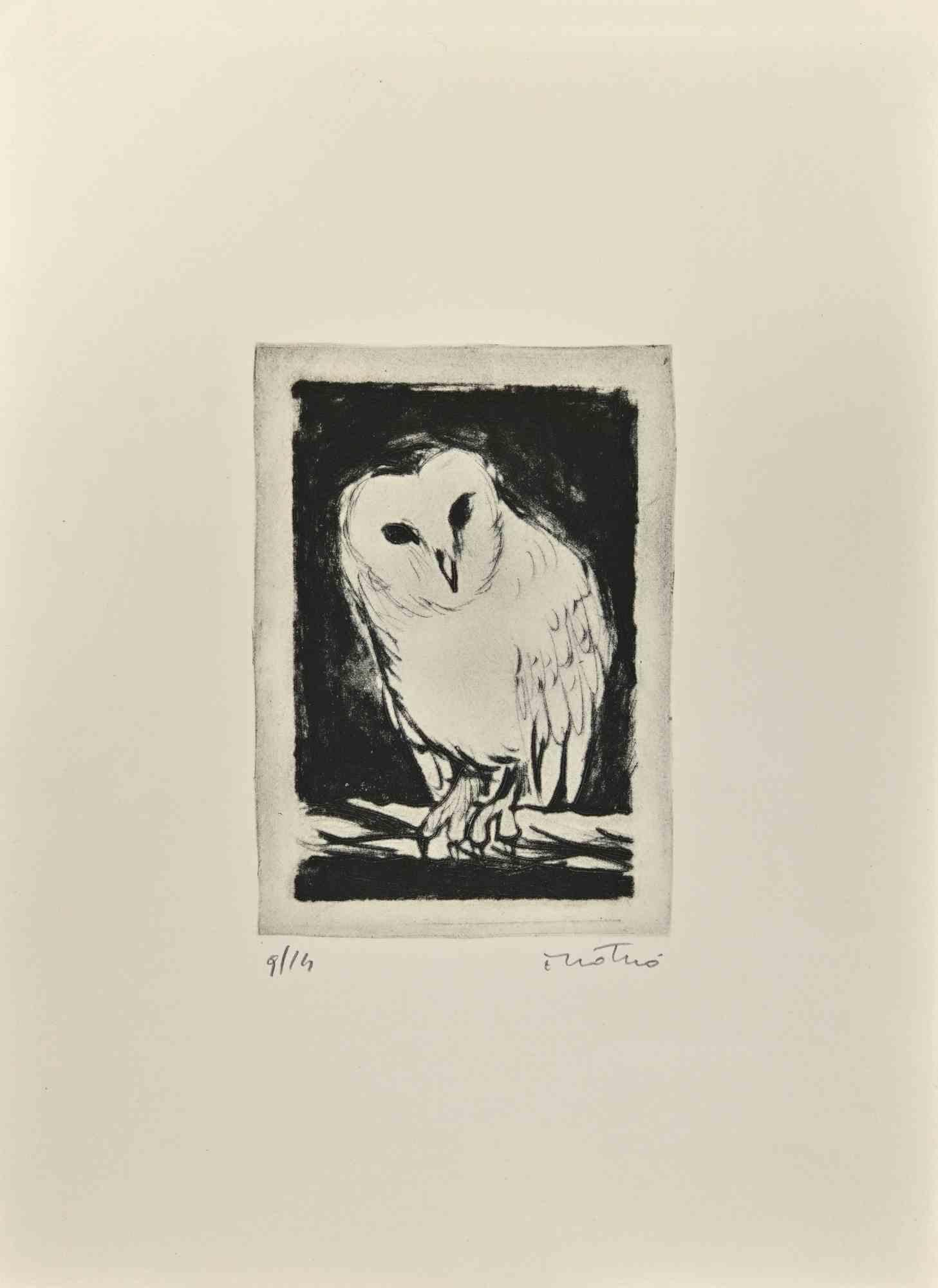 Owl is an Etching realized by Enotrio Pugliese in 1963.

Limited edition of 14 copies numbered and signed by the artist.

Good condition on a white cardboard.

Enotrio Pugliese (May 11, 1920 - August 1989) was an Italian painter. Born in Buenos