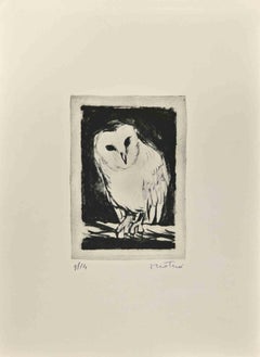 Owl - Etching  by Enotrio Pugliese - 1963