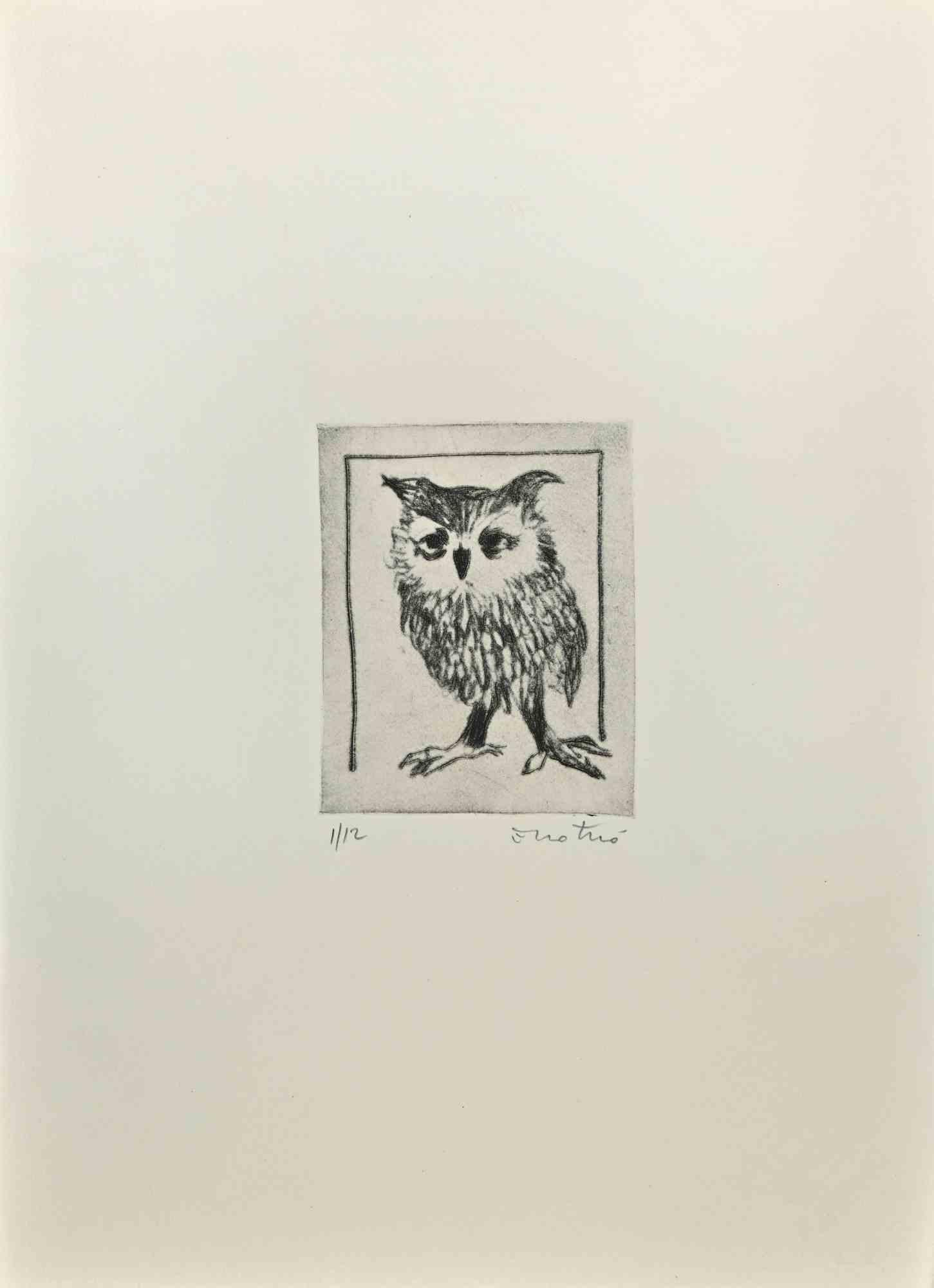 Owl is an Etching realized by Enotrio Pugliese in 1963.

Limited edition of 12 copies numbered and signed by the artist.

Good condition on a white cardboard.

Enotrio Pugliese (May 11, 1920 - August 1989) was an Italian painter. Born in Buenos