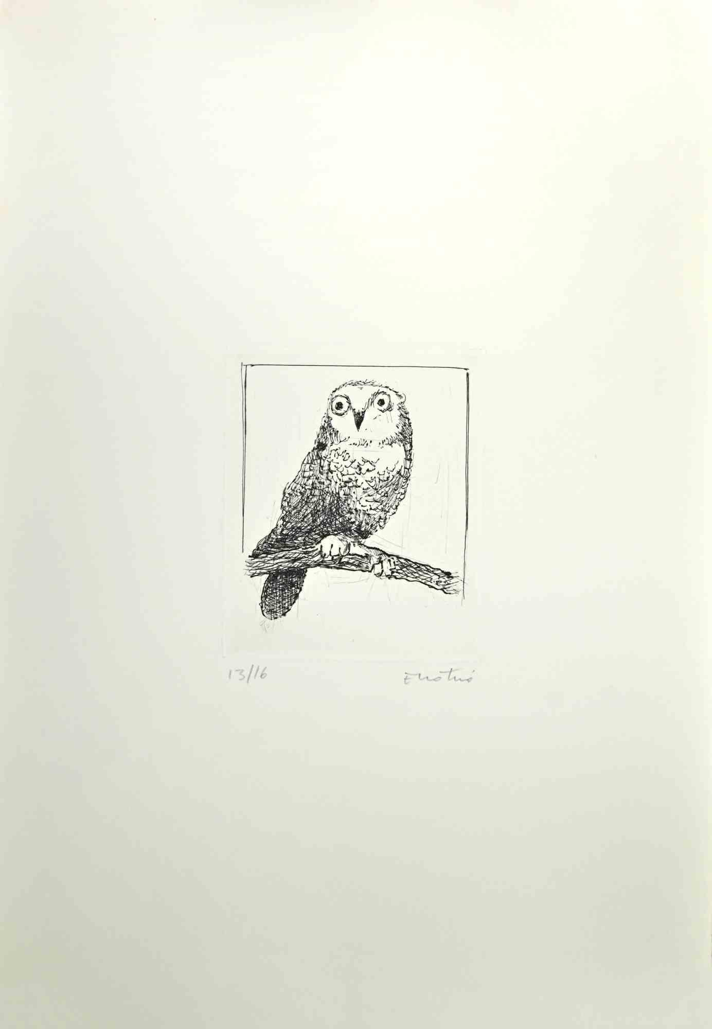 Owl - Etching by Enotrio Pugliese - 1970s