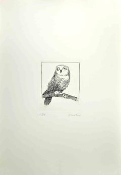 Owl - Etching by Enotrio Pugliese - 1970s