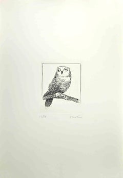 Hibou - Gravure d'Enotrio Pugliese - 1970